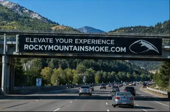 Top 5 Disposable Vapes