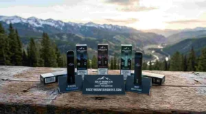 Vape Wholesale Distributor Near Me – Colorado’s Trusted Supply Hub