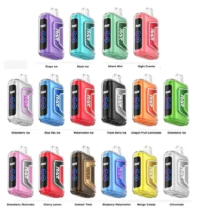 RAZ TN9000 DISPOSABLE VAPE – 9000 PUFFS 