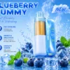 Geekbar Mate 60K BLUEBERRY YUMMY