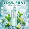 Geekbar Mate 60K Cool Mint