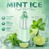 Geekbar Mate 60K Miami Mint..