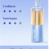 Geekbar Mate 60K Blue Razz Ice