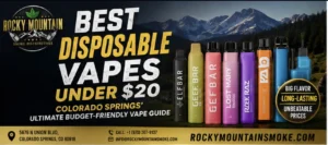Best Disposable Vapes Under $20